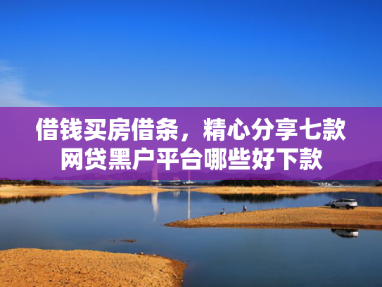 借钱买房借条，精心分享七款网贷黑户平台哪些好下款