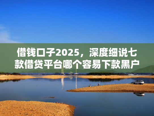 借钱口子2025，深度细说七款借贷平台哪个容易下款黑户的