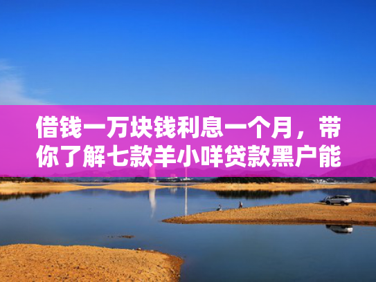 借钱一万块钱利息一个月，带你了解七款羊小咩贷款黑户能下款吗