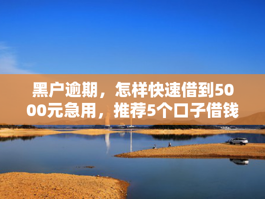 什么软件好下款值得关注这5个不查征信必下款的口子