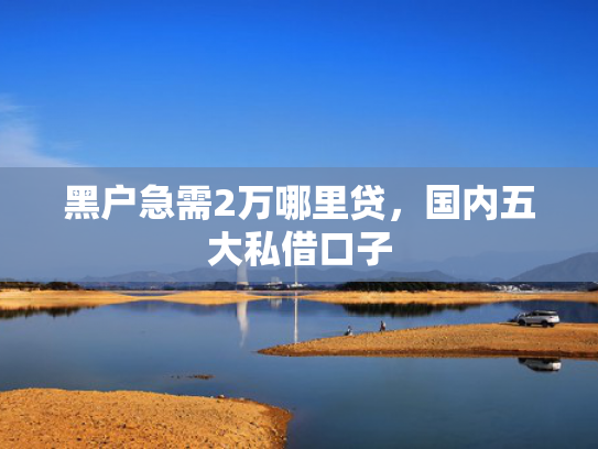 哪个贷款软件下款快这5款还有什么网贷口子下款