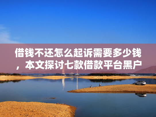借钱不还怎么起诉需要多少钱，本文探讨七款借款平台黑户也能下款