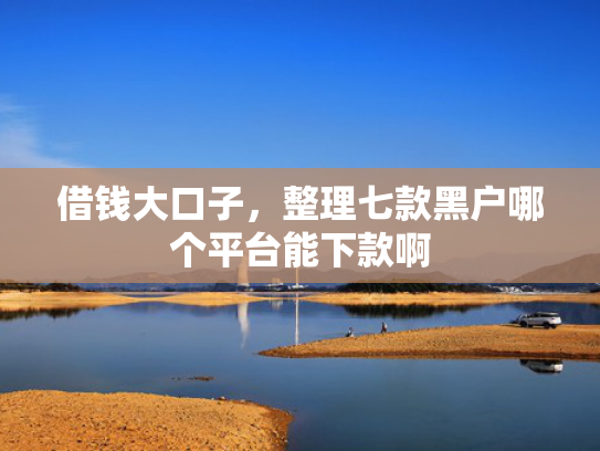 借钱大口子，整理七款黑户哪个平台能下款啊