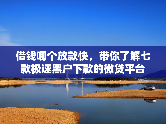 借钱哪个放款快，带你了解七款极速黑户下款的微贷平台