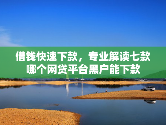 借钱快速下款，专业解读七款哪个网贷平台黑户能下款