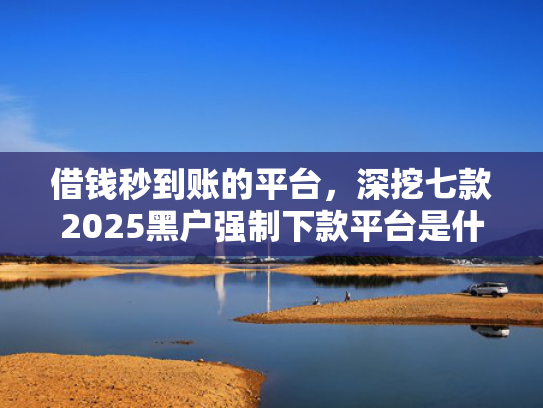 借钱秒到账的平台，深挖七款2025黑户强制下款平台是什么