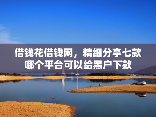 借钱花借钱网，精细分享七款哪个平台可以给黑户下款