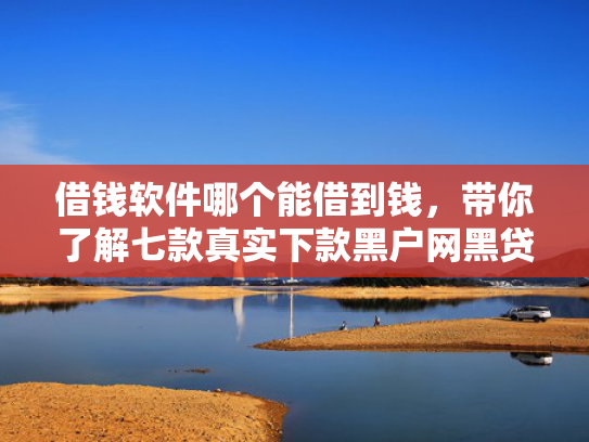 借钱软件哪个能借到钱，带你了解七款真实下款黑户网黑贷款