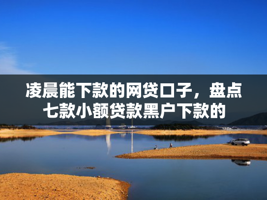 凌晨能下款的网贷口子，盘点七款小额贷款黑户下款的