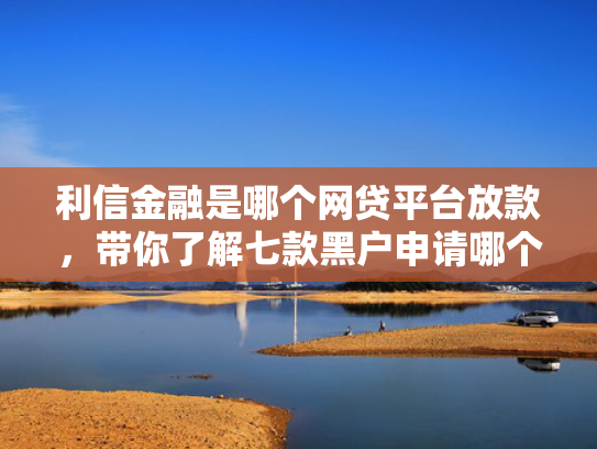 利信金融是哪个网贷平台放款，带你了解七款黑户申请哪个贷款好下款