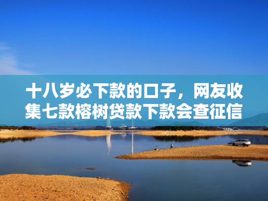 十八岁必下款的口子，网友收集七款榕树贷款下款会查征信吗