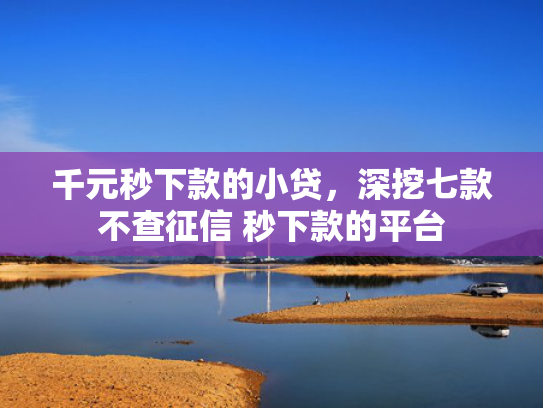 千元秒下款的小贷，深挖七款不查征信 秒下款的平台