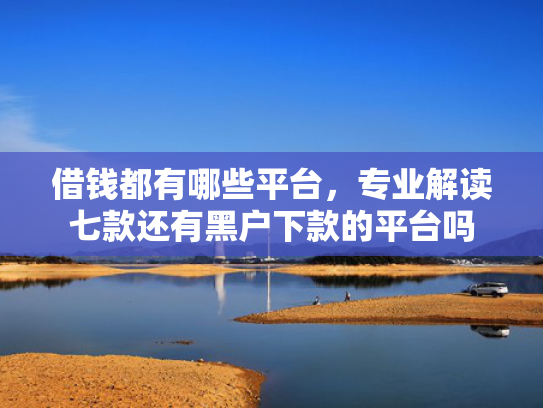 借钱都有哪些平台，专业解读七款还有黑户下款的平台吗