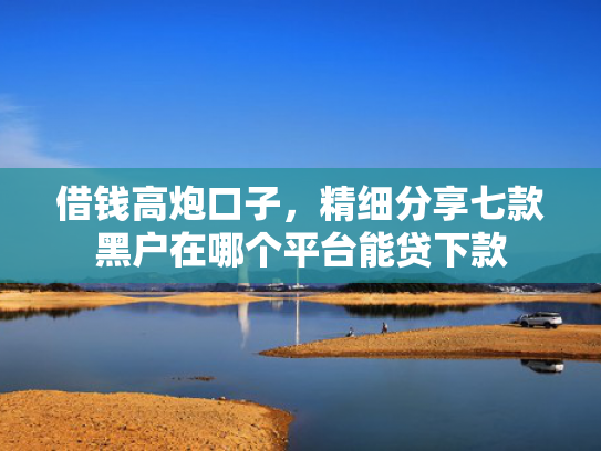 借钱高炮口子，精细分享七款黑户在哪个平台能贷下款