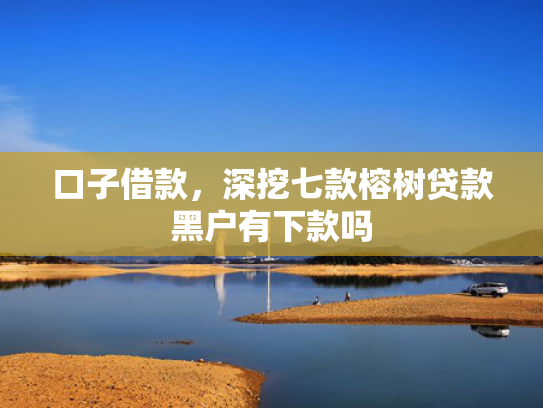 口子借款，深挖七款榕树贷款黑户有下款吗