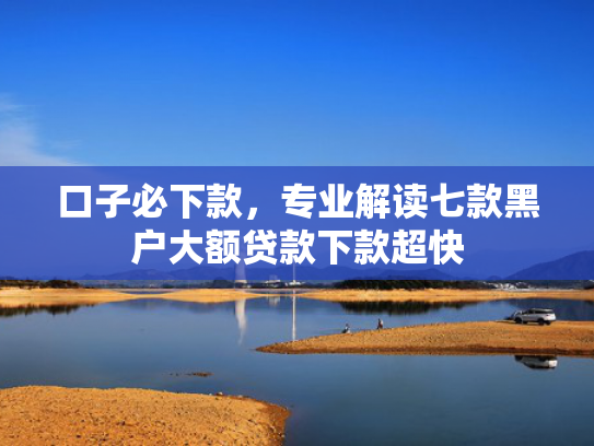 口子必下款，专业解读七款黑户大额贷款下款超快