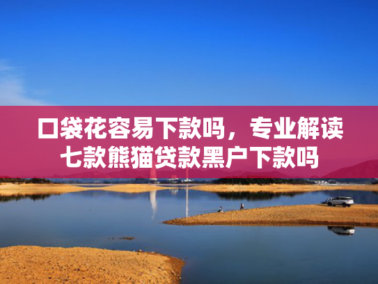 口袋花容易下款吗，专业解读七款熊猫贷款黑户下款吗