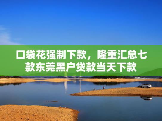 口袋花强制下款，隆重汇总七款东莞黑户贷款当天下款