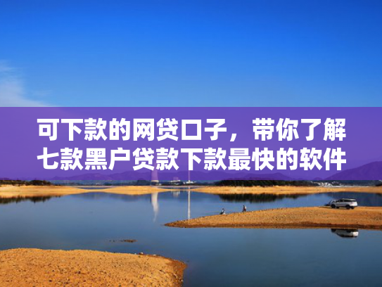 可下款的网贷口子，带你了解七款黑户贷款下款最快的软件
