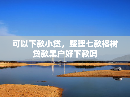 可以下款小贷，整理七款榕树贷款黑户好下款吗