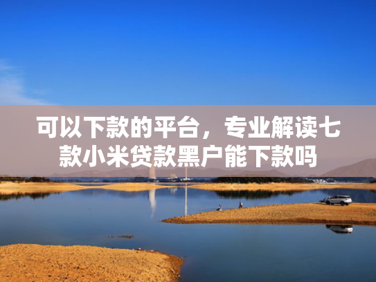 可以下款的平台，专业解读七款小米贷款黑户能下款吗