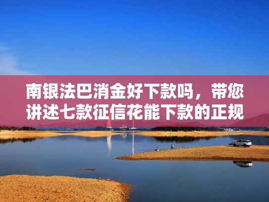 南银法巴消金好下款吗，带您讲述七款征信花能下款的正规网贷