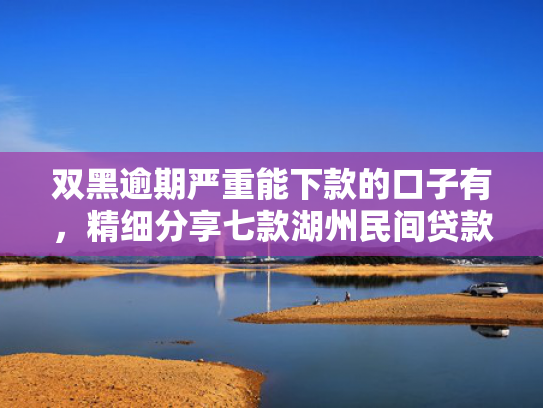 双黑逾期严重能下款的口子有，精细分享七款湖州民间贷款征信不好能下款吗