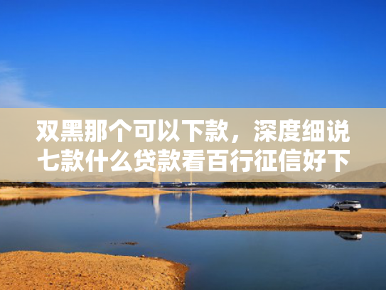 双黑那个可以下款，深度细说七款什么贷款看百行征信好下款