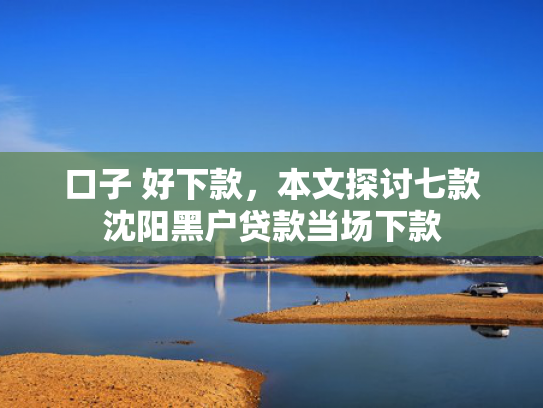 口子 好下款，本文探讨七款沈阳黑户贷款当场下款