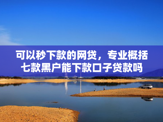 可以秒下款的网贷，专业概括七款黑户能下款口子贷款吗