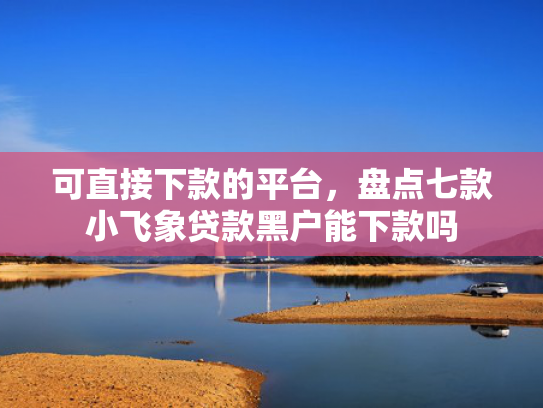 可直接下款的平台，盘点七款小飞象贷款黑户能下款吗