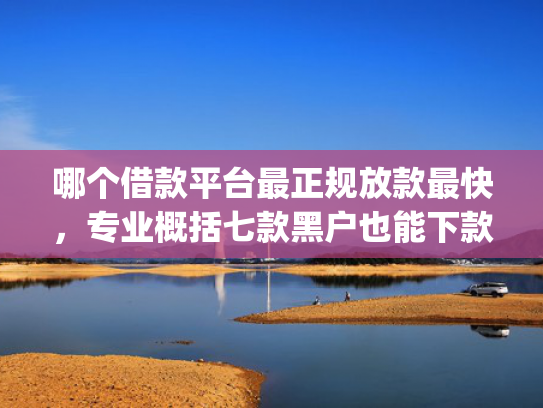 哪个借款平台最正规放款最快，专业概括七款黑户也能下款的app6