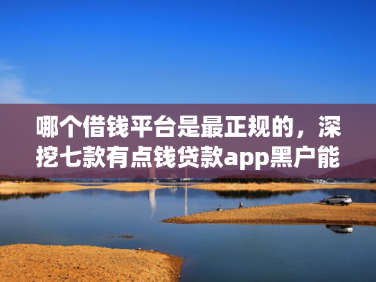 哪个借钱平台是最正规的，深挖七款有点钱贷款app黑户能下款吗