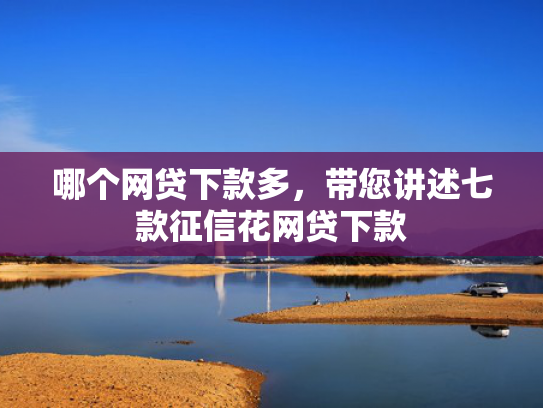 哪个网贷下款多，带您讲述七款征信花网贷下款