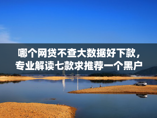 哪个网贷不查大数据好下款，专业解读七款求推荐一个黑户能下款的app