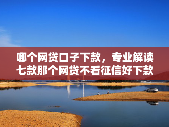 哪个网贷口子下款，专业解读七款那个网贷不看征信好下款