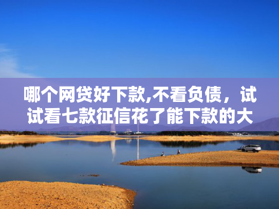 哪个网贷好下款,不看负债，试试看七款征信花了能下款的大额网贷