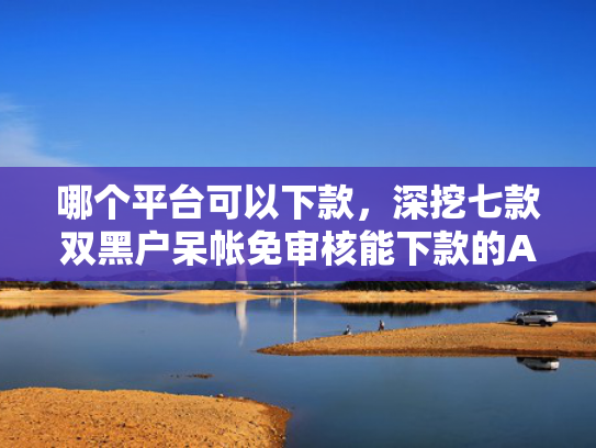 哪个平台可以下款，深挖七款双黑户呆帐免审核能下款的APP