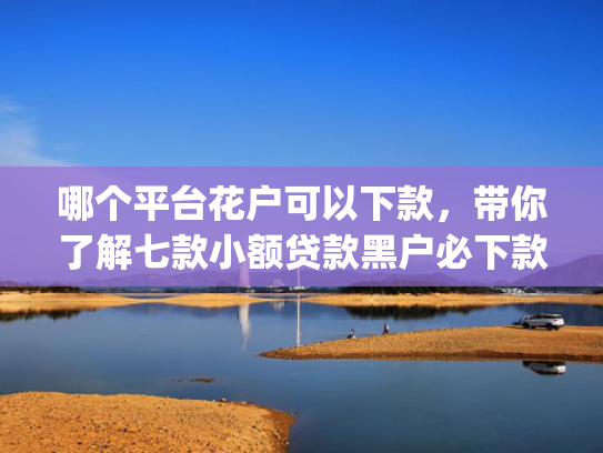 哪个平台花户可以下款，带你了解七款小额贷款黑户必下款的app