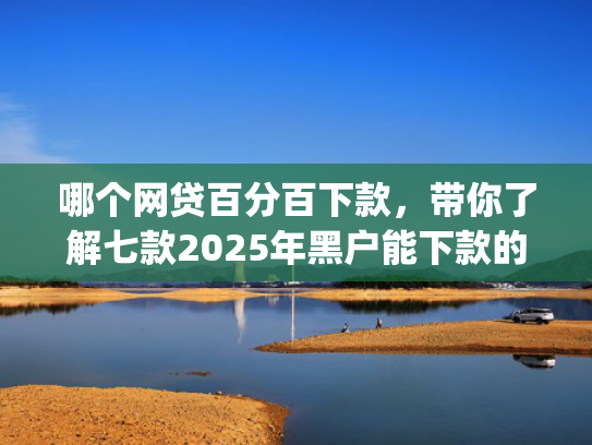 哪个网贷百分百下款，带你了解七款2025年黑户能下款的小额贷款app