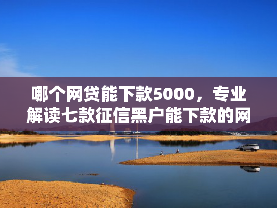 哪个网贷能下款5000，专业解读七款征信黑户能下款的网贷