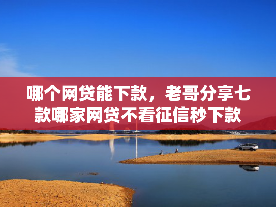 哪个网贷能下款，老哥分享七款哪家网贷不看征信秒下款
