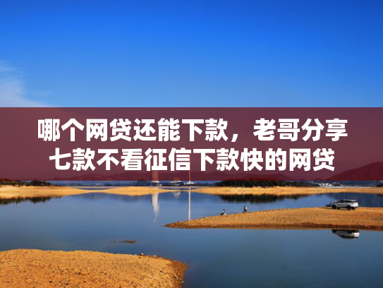 哪个网贷还能下款，老哥分享七款不看征信下款快的网贷