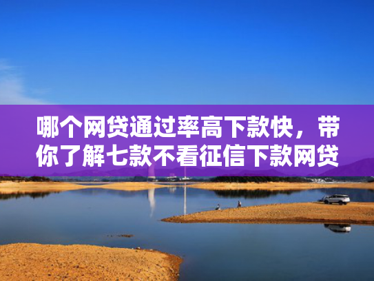 哪个网贷通过率高下款快，带你了解七款不看征信下款网贷