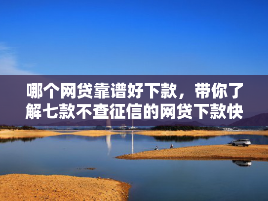 哪个网贷靠谱好下款，带你了解七款不查征信的网贷下款快