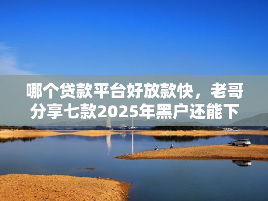 哪个贷款平台好放款快，老哥分享七款2025年黑户还能下款的APP