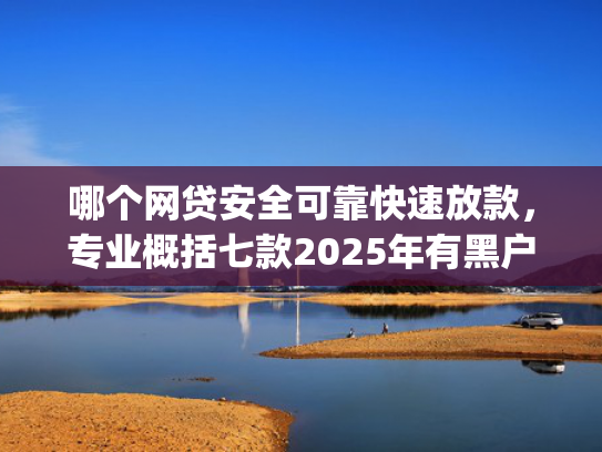 哪个网贷安全可靠快速放款，专业概括七款2025年有黑户下款的app吗