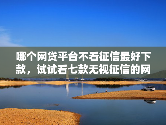 哪个网贷平台不看征信最好下款，试试看七款无视征信的网贷必下款吗