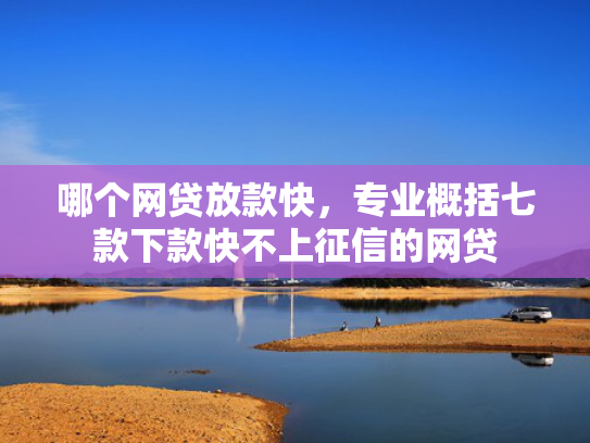 哪个网贷放款快，专业概括七款下款快不上征信的网贷