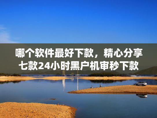 哪个软件最好下款，精心分享七款24小时黑户机审秒下款的app